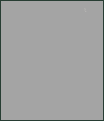 Rectangle 30